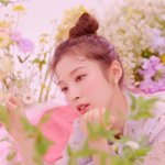 <b>오마</b>이걸 아린 까지마라 왜 깜