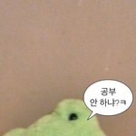 여기 애들 왜케 공부 잘하냐