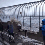 <b>수리남</b> 재밌냐