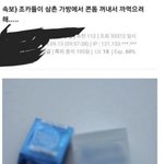 추석에 삼촌 공개처형