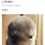 [댓글부탁해] 11월 초 <b>날씨</b> ㅇㄸ?