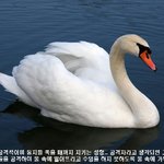 귀여워 보여도 꽤나 위험한 <b>동물</b>들