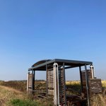 서울에서 떠나는 시골길 산책기4 (<b>Ft</b>.황금들판)