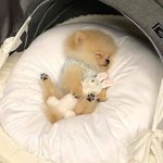 나 <b>옆집</b> 사람이랑 방구 틈