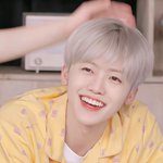 [NCT드림] 우리 아기<b>양송이</b> 너무 이뻐