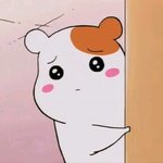 햄토리 이제 <b>자러</b>갈게