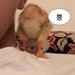 [댓글부탁해] 밴드 노래 ㅊㅊ해줄 사람