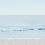 [댓글부탁해] 고대 전전 vs <b>신소재</b>공학