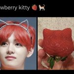 [군대] 딸<b>기태</b>냥이