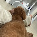엽떡은 2인이 더 <b>마</b><b>싯</b>음