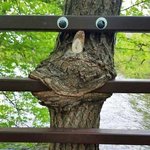 왠지 두려운 배고픈 <b>나무들</b>