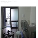 아파트 베란다 창문 열었더니.... 대참사 발생