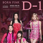 내일 정규 걱정되는 블링크 있냐..ㅈㄴ 답답하다