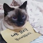 [19] 나 <b>중딩때</b> ㅈㄴ 싸가지 없었던거