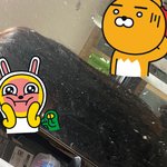 [댓글부탁해] 머리숱 <b>적음</b> 보통임 많음?