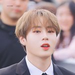 확신의 왕자님 <b>재질</b>