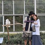 이거 뒤에 앵무새가 <b>뷔제니</b> 따라한거야?