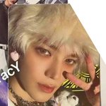 [NCT칠프] 미국포카에 등장한 여우