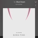 [댓글부탁해] 블랙핑크 신곡 <b>shut</b> down 어때?