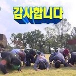 잇프피들아ㅠ