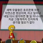 [댓글부탁해] 나 <b>내성</b>발톱 생겼는데 병원 가야겠지