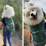 [드루와] 일본여행때 일본잼<b>민이</b>가 한자읽어줘서 좀 감동했는데