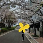 [댓글부탁해] 여기 부산 어딘지 아는사람