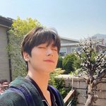 더보이즈 주연으로 어그로 ㅈㄴ끄네