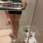 고양이 사랑해