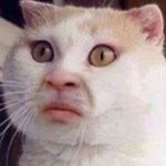 중학교시험 벼락치기 <b>올백</b> 마지노선은