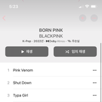 애플뮤직에서 블핑 19금 아닌버전