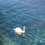 [댓글부탁해] 연대 신소재 vs <b>우석</b>대 약대