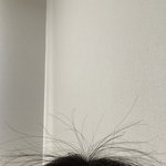 [댓글부탁해] 얘들아 ㅅㅂ 내 앞머리 <b>어떡</b>해 ㅈㅂ도어ㅏ주ㅏ