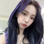 어케 셧다운보다 <b>핑</b><b>베</b>가 더 높지