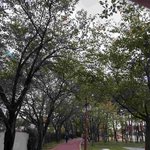 <b>산책</b>하기 정말좋다