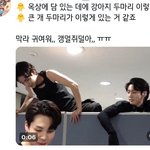 [방탄소년단] 옥상에 올라가면 강아지들 볼수있나요