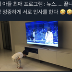 의외로 어린이들이 좋아하는 프로그램 ㅋ