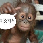 [드루와] 얘들아 너네도 맨 바닥에 누우면 갈비뼈 <b>아파</b>???