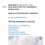 [스키즈] 매쉬업 비디오!!!