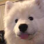 공부 처 하기 싱ㅎ다