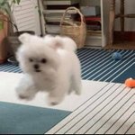 [댓글부탁해] 좋아요 취소하면 <b>알람</b> 감??