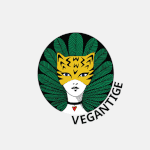 [모두드루와] 비건패션브랜드 추천좀해줘