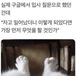 구글 <b>입사</b> 질문 ㅎ