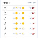 내일부터 후드<b>티</b> 입는다