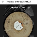 나얼 솔로데뷔 10주년 <b>LP</b> 한정판 발매