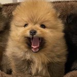 더보이즈 <b>새</b><b>삥</b> 어때?