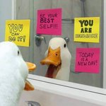 <b>독도</b>클렌저 좋아?