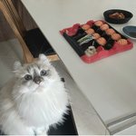 울 <b>고영</b> 인생샷 볼 사람