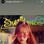 최유정 솔로 축하 스토리올려준 동료들