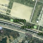 <b>한강</b>에 이런 숲이 있음??